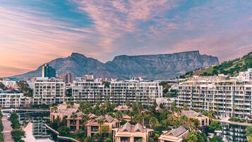 A resort with multiple buildings, a marina, and a mountain in the background.