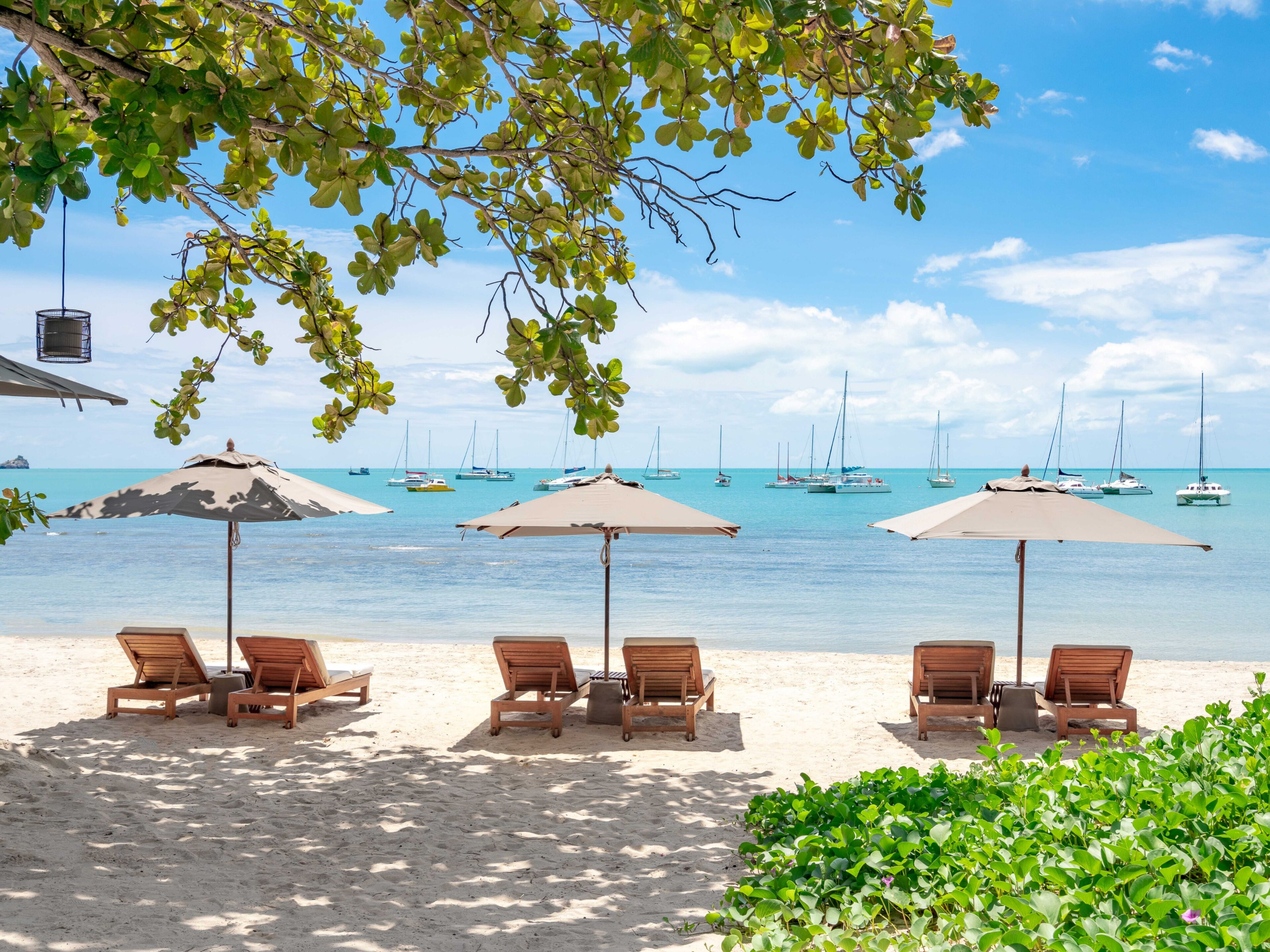 On the beach, white sand, sun loungers, beach umbrellas