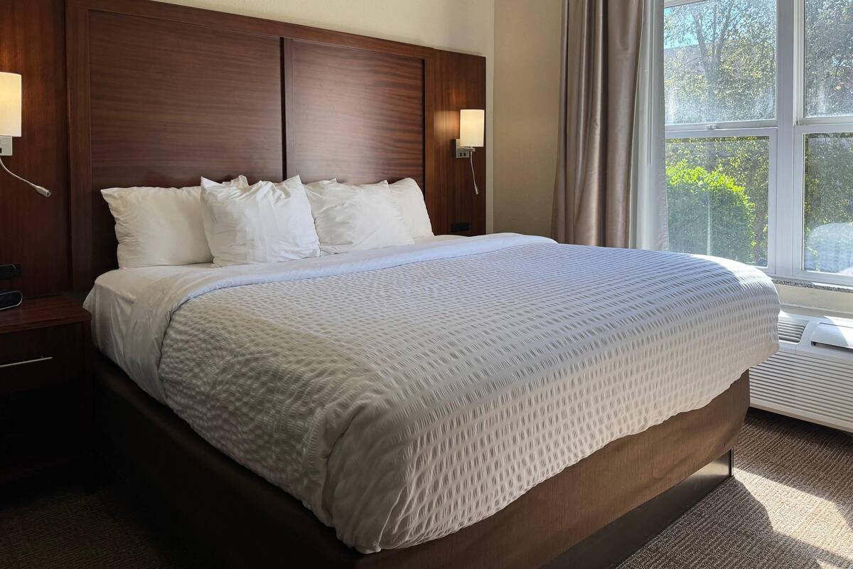 A neatly made bed with a white comforter and pillows, a wooden headboard, a bedside table with a lamp, and a window with a view of trees.