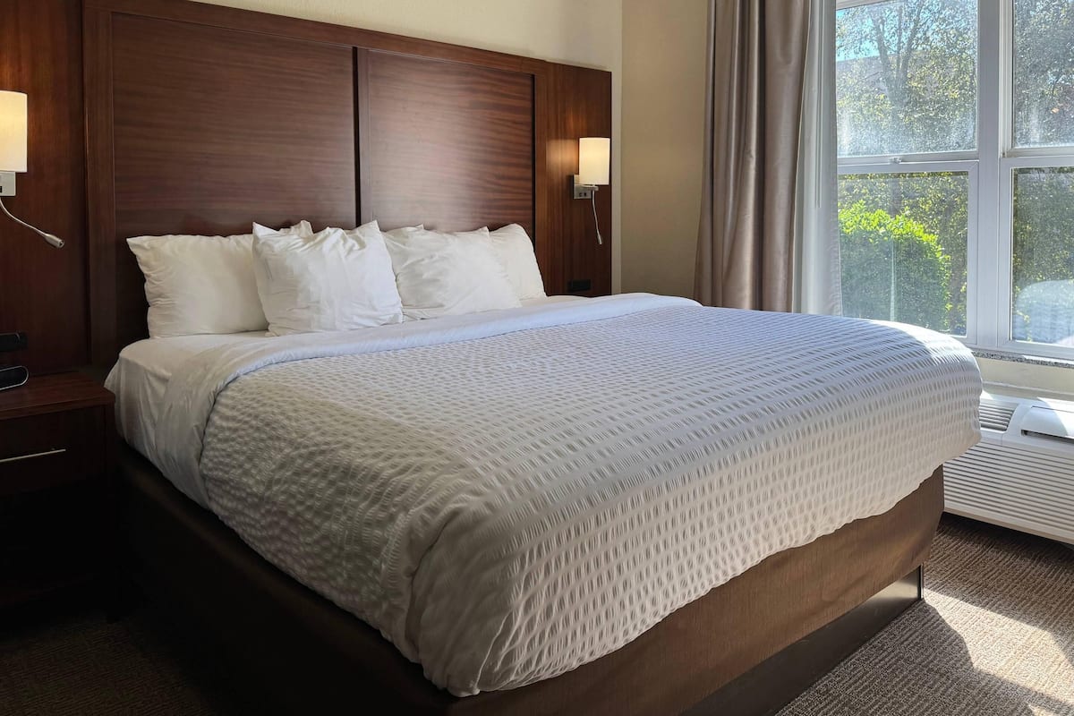 Minibar, desk, iron/ironing board, free WiFi