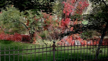 Jardín