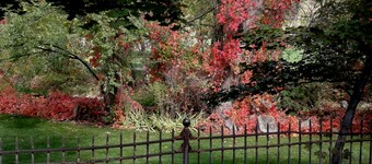 Riverside Hot Springs Inn & Spa - Adults Only