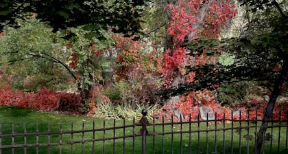 Riverside Hot Springs Inn & Spa - Adults Only