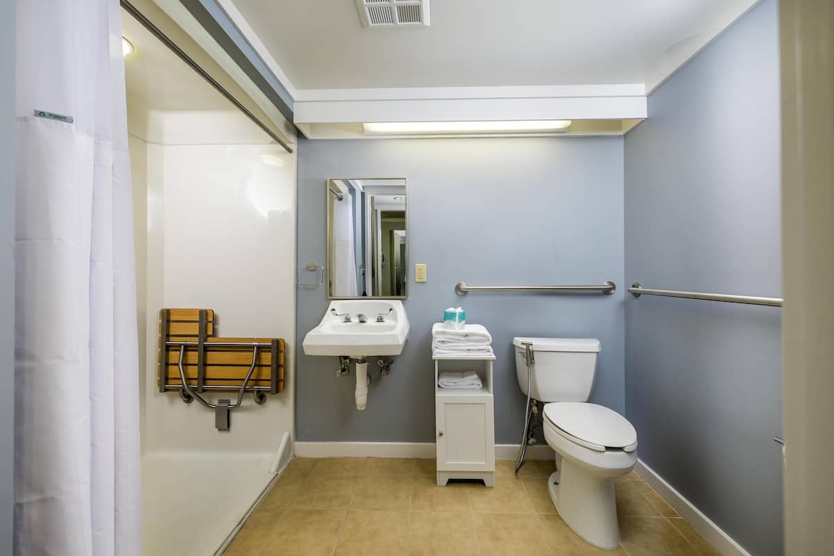 A bathroom with a sink, toilet, and a shower area.