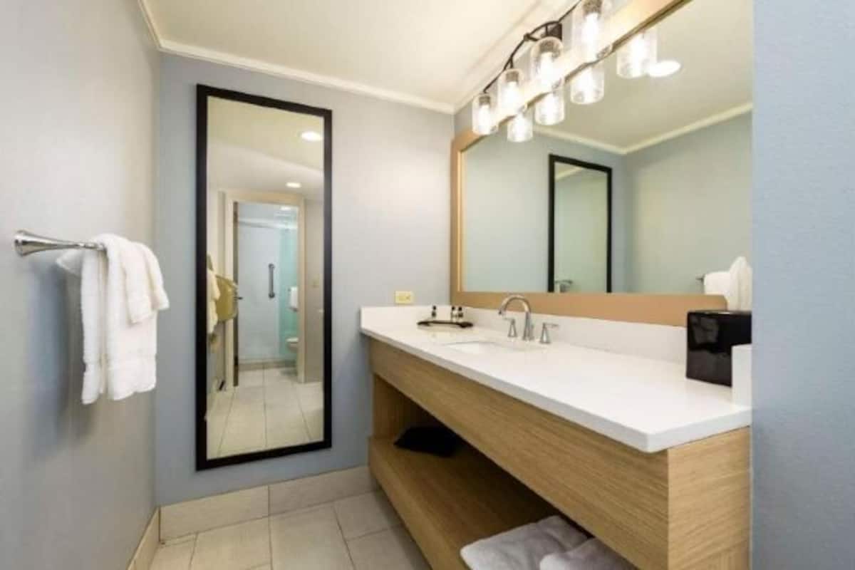 Bathroom | Combined shower/tub, free toiletries, hair dryer, towels