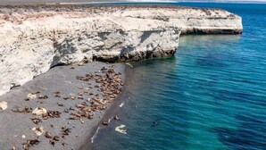Un paisaje costero con acantilados y una playa.