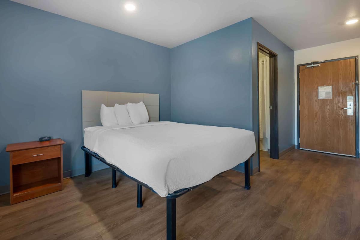 standard studio, non smoking, refrigerator & microwave | desk, laptop workspace, iron/ironing board, free wifi