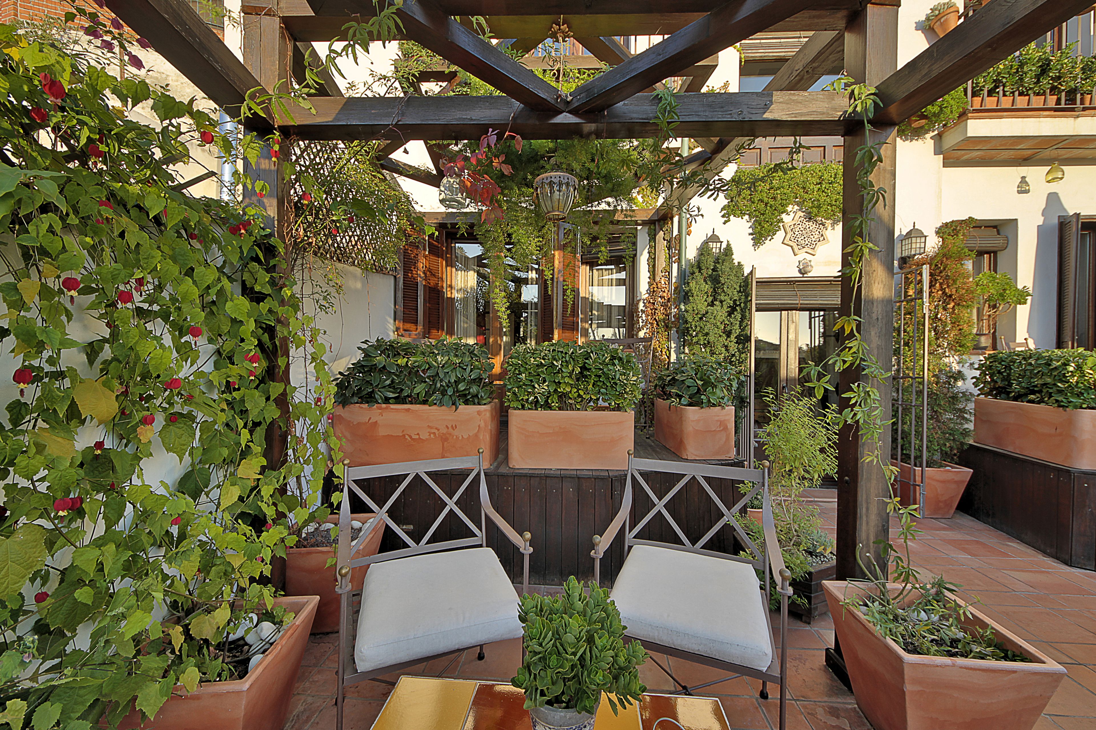 Economy Loft, Patio (Alhambra View) | Teres/patio