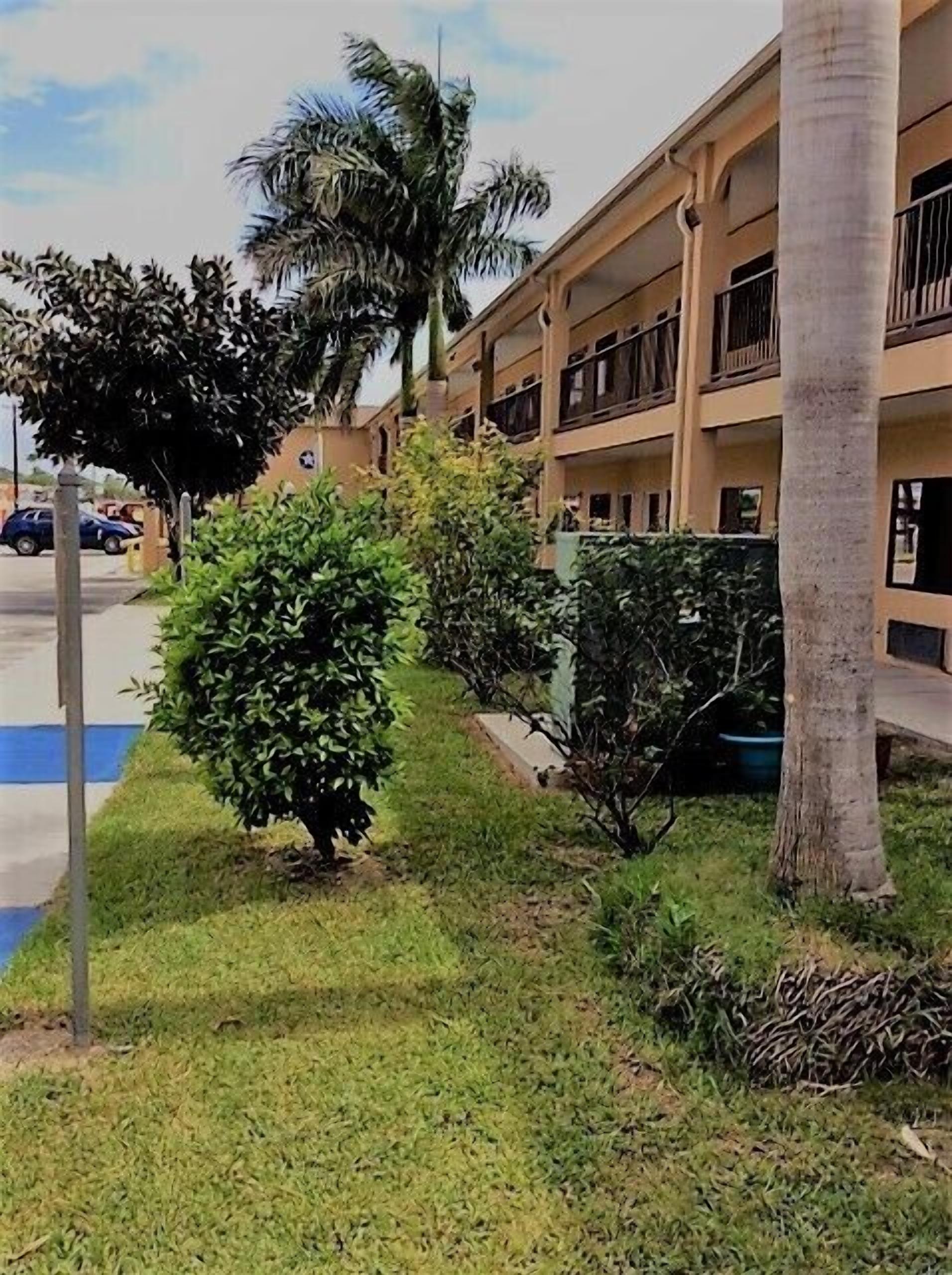 Jardín
