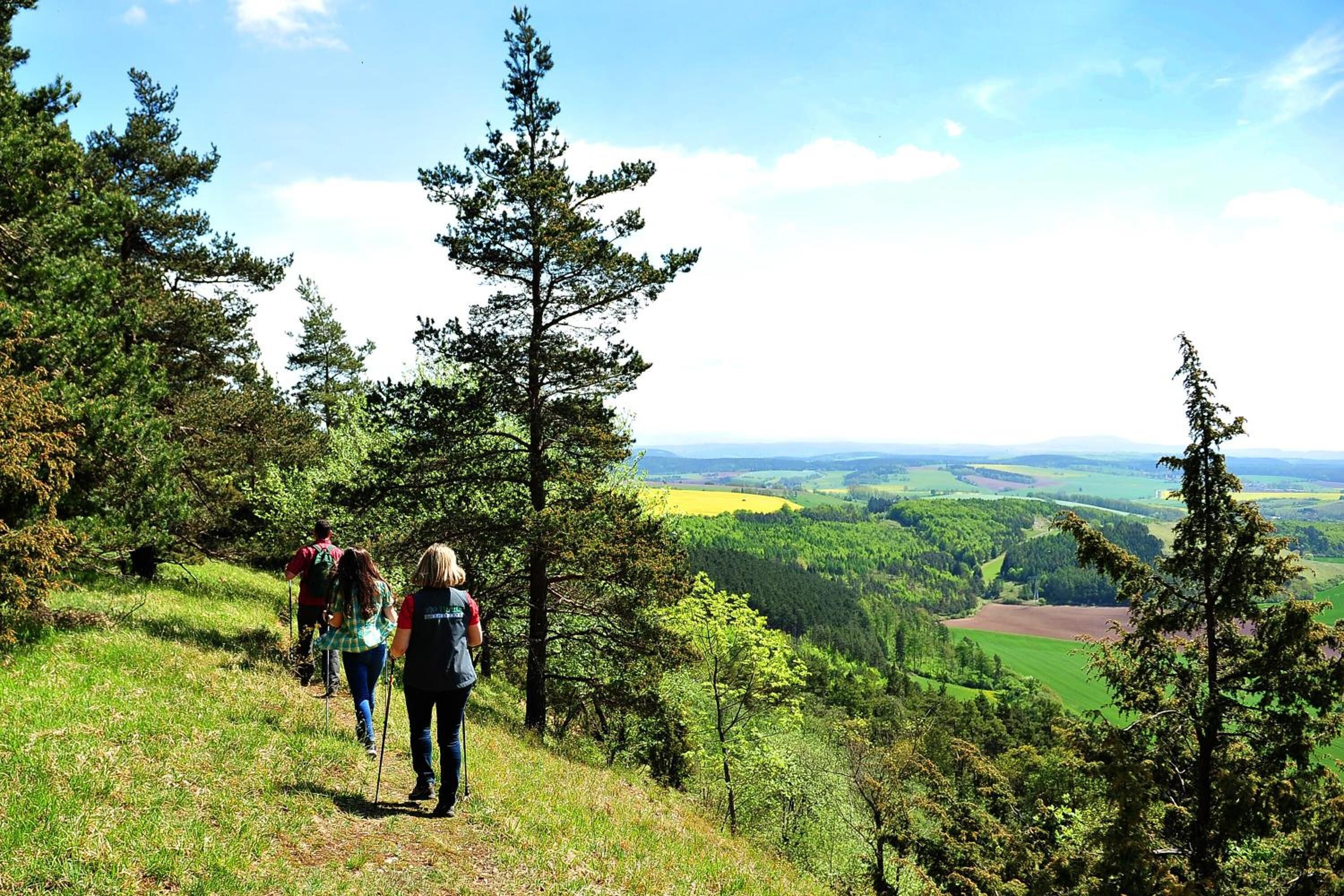 Un grupo de excursionistas en un sendero cubierto de hierba, rodeado de árboles y un paisaje pintoresco.
