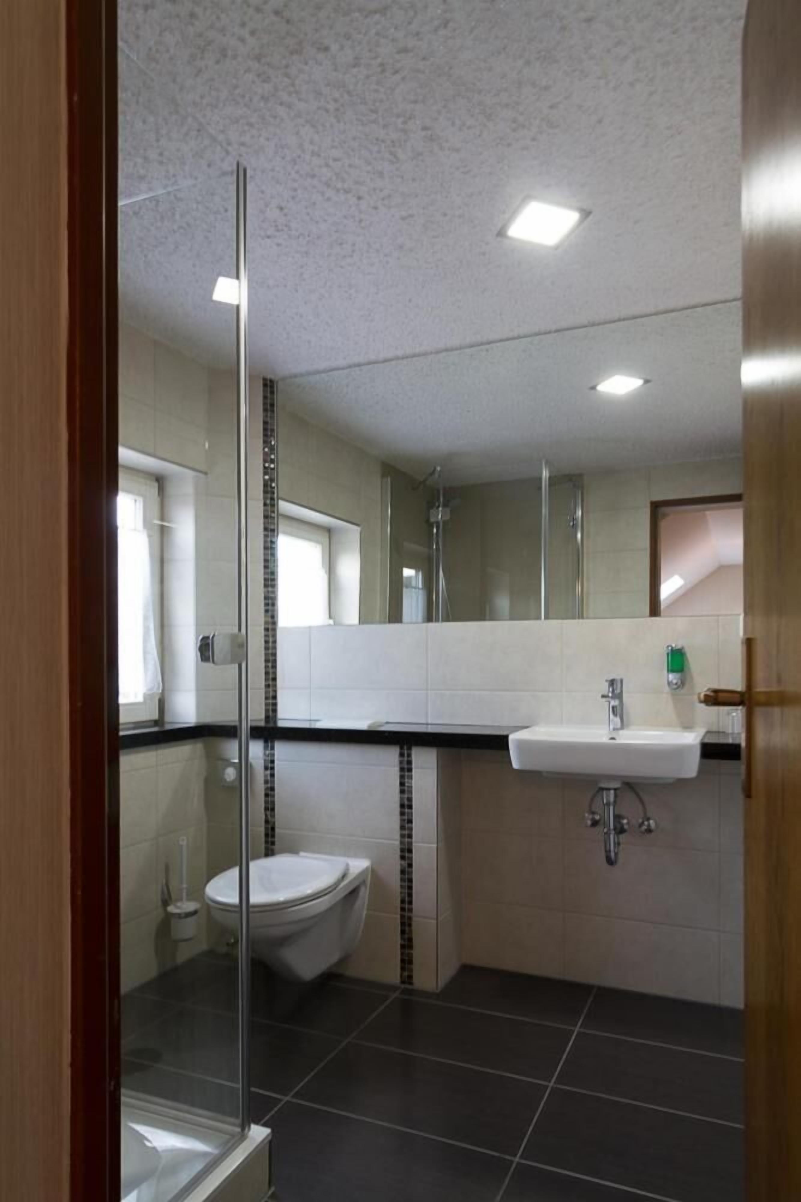 Ein modernes Badezimmer mit Duschkabine aus Glas, einer weißen Toilette und einem Waschbecken mit Spiegel darüber.