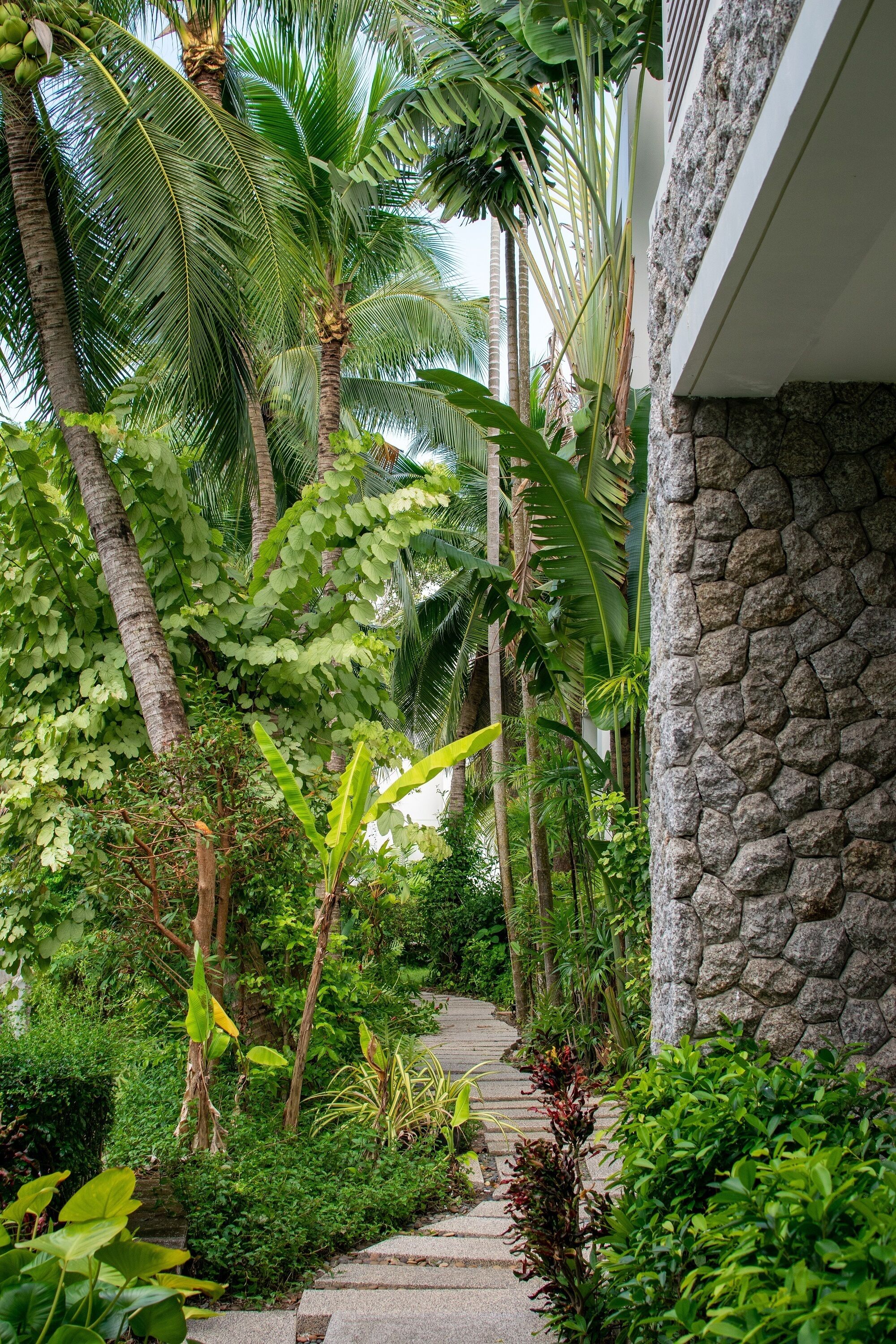 Un sentier de pierre traverse un jardin luxuriant où poussent différentes plantes tropicales et des palmiers.