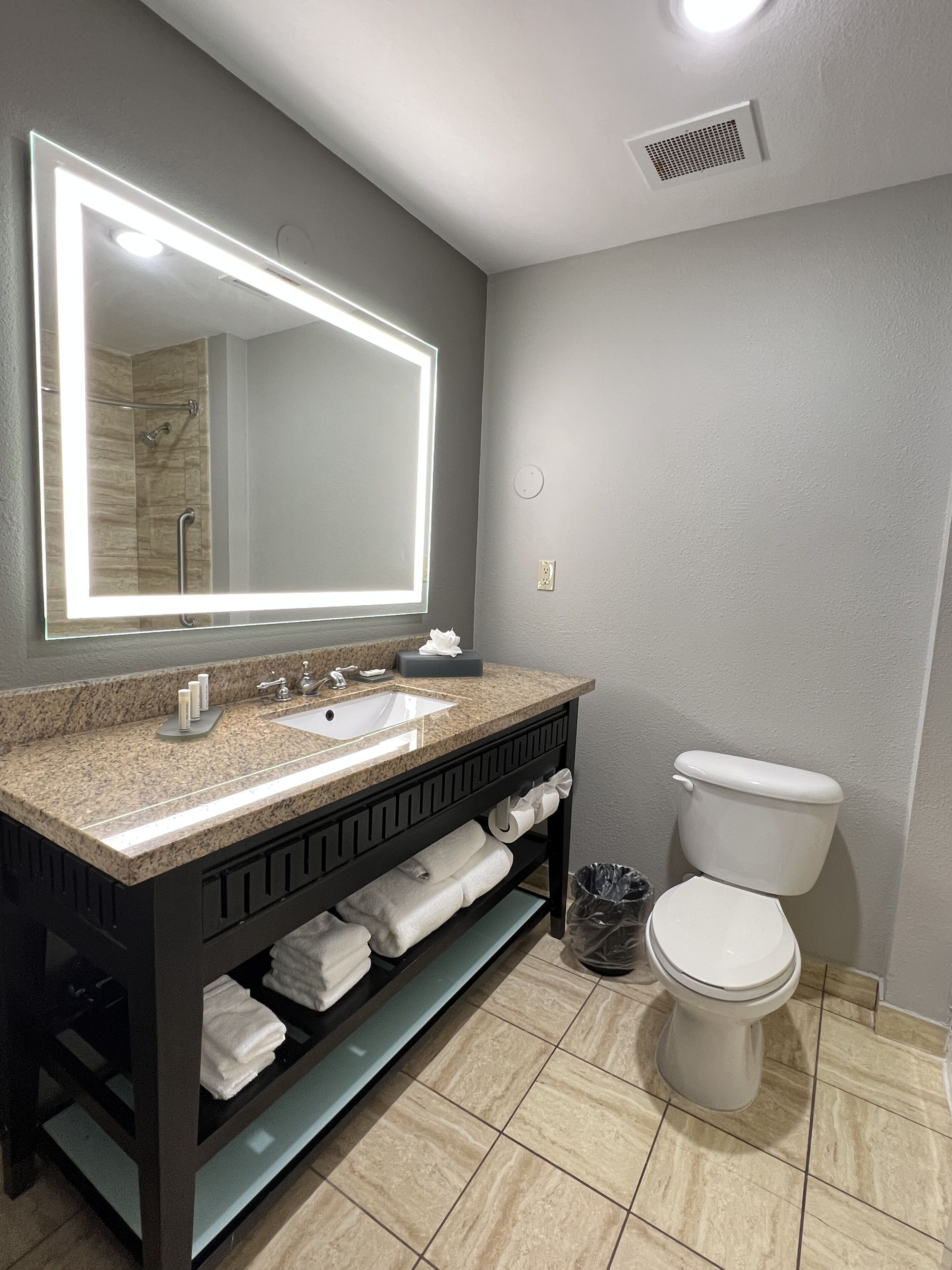 combined shower/bathtub, free toiletries, hair dryer, towels