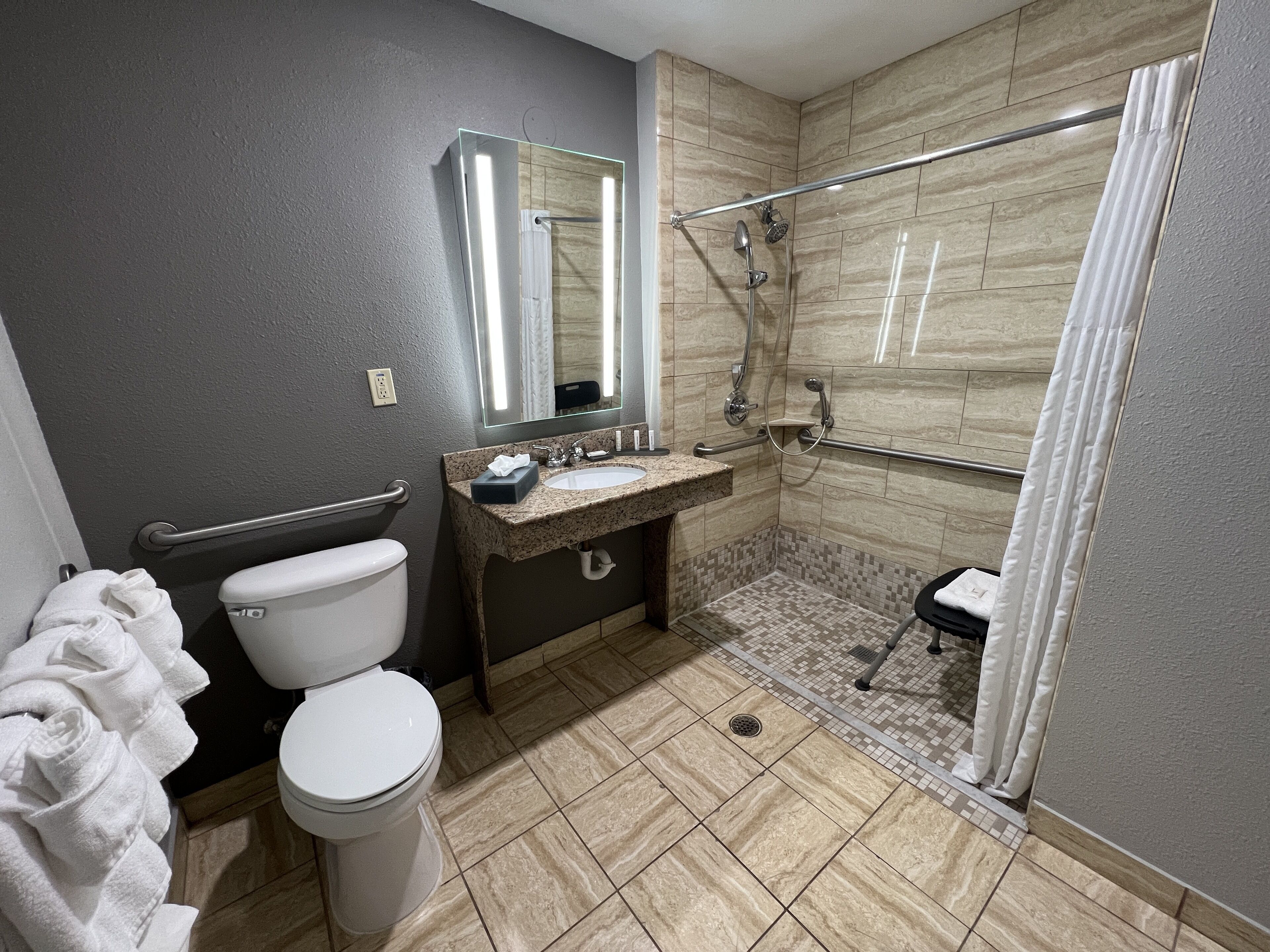 room, 1 king bed, accessible, non smoking (mobility/hearing, roll-in shower) | bathroom | combined shower/bathtub, free toiletries, hair dryer, towels