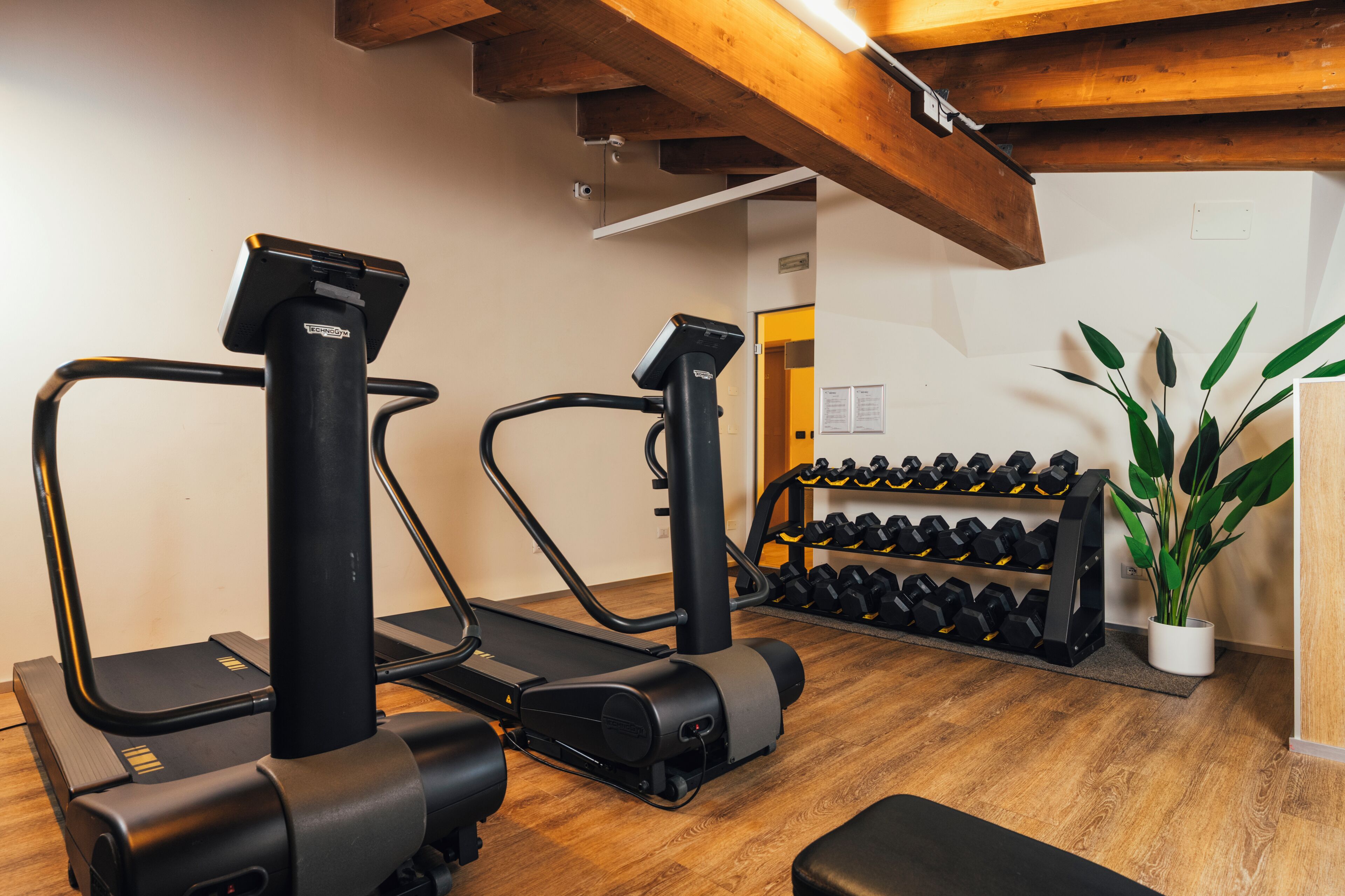 A gym with treadmills, a weight rack, and a potted plant.