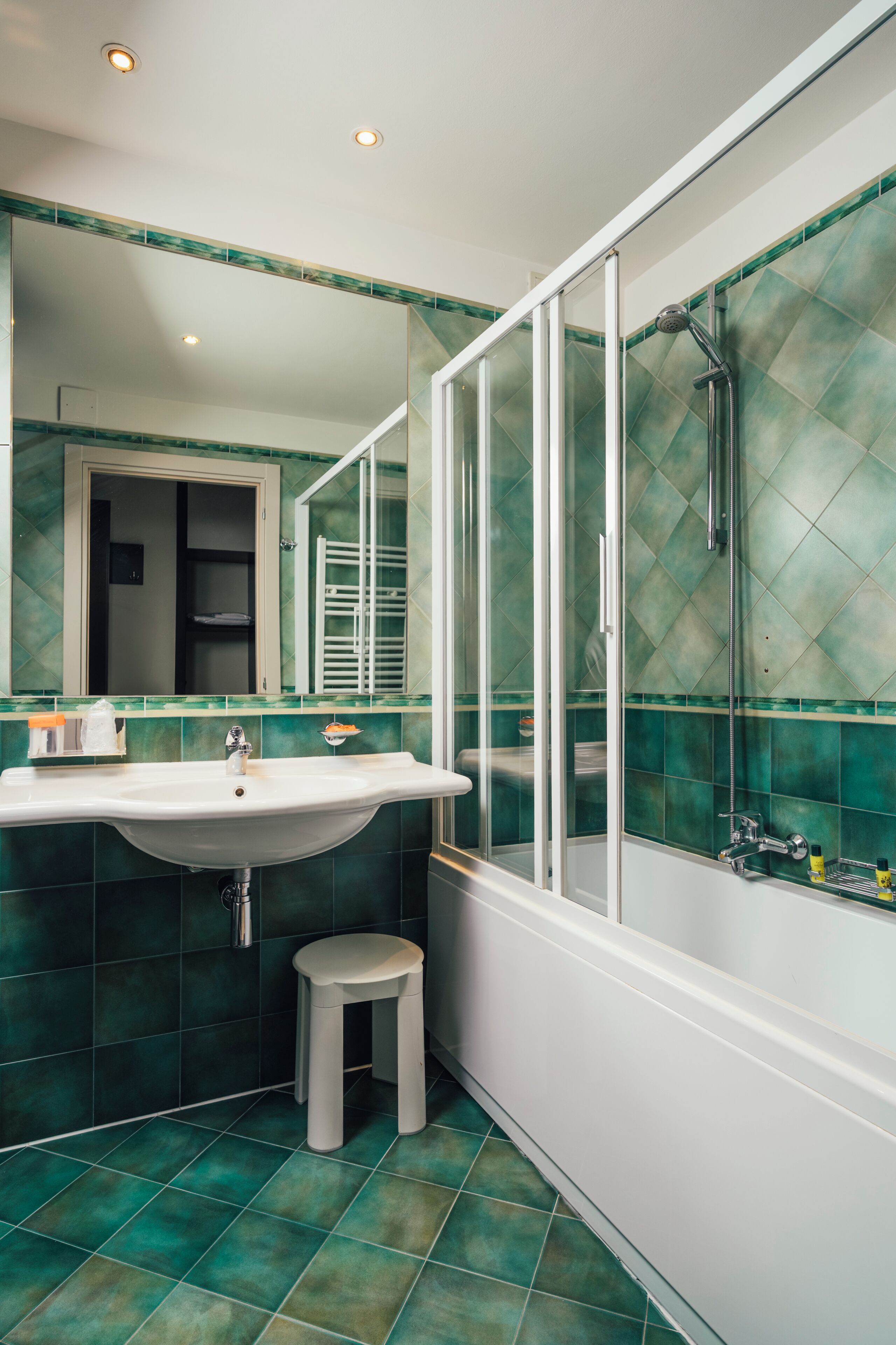 hair dryer, bidet, towels