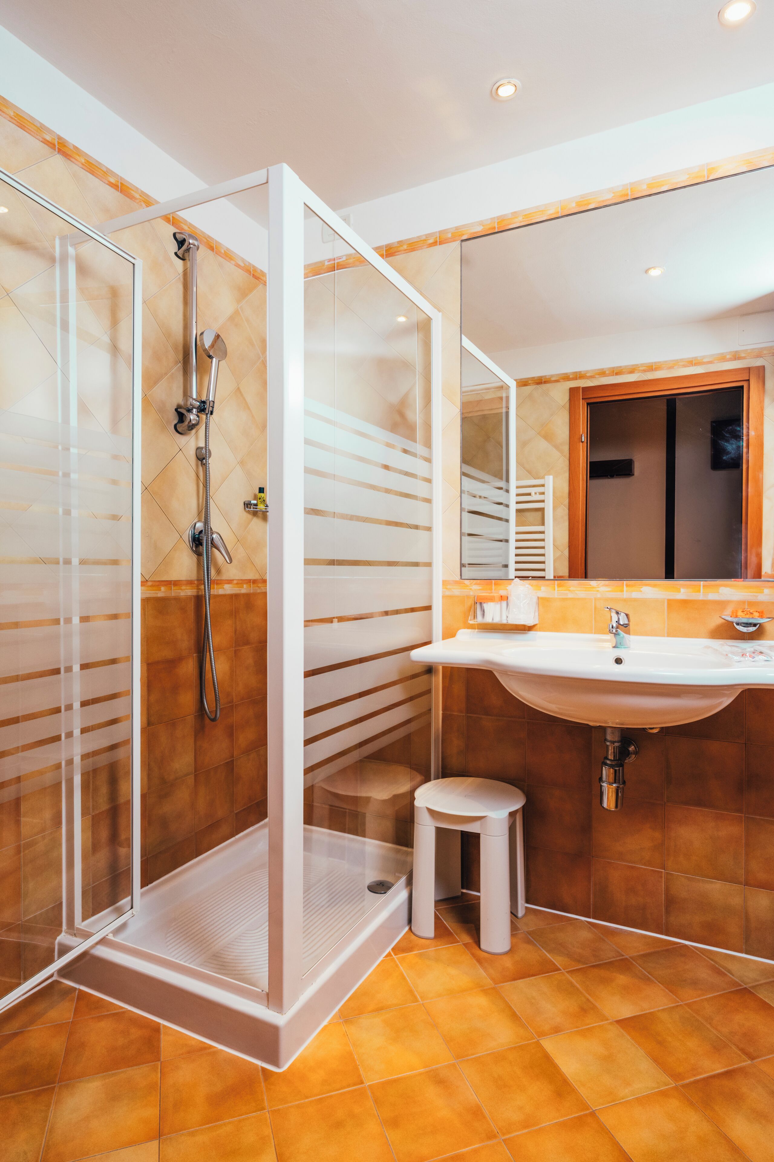 hair dryer, bidet, towels