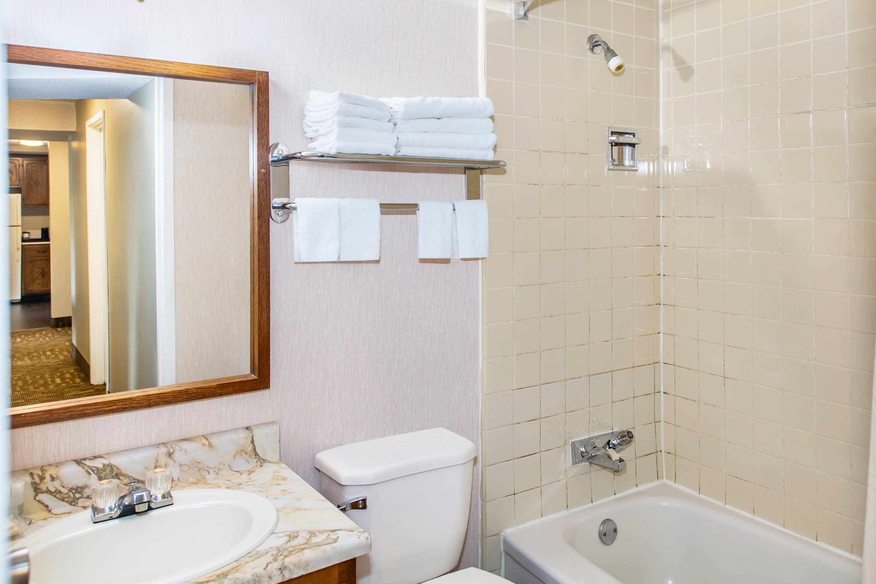 Un bagno con lavabo in marmo, un WC, una vasca e uno specchio.
