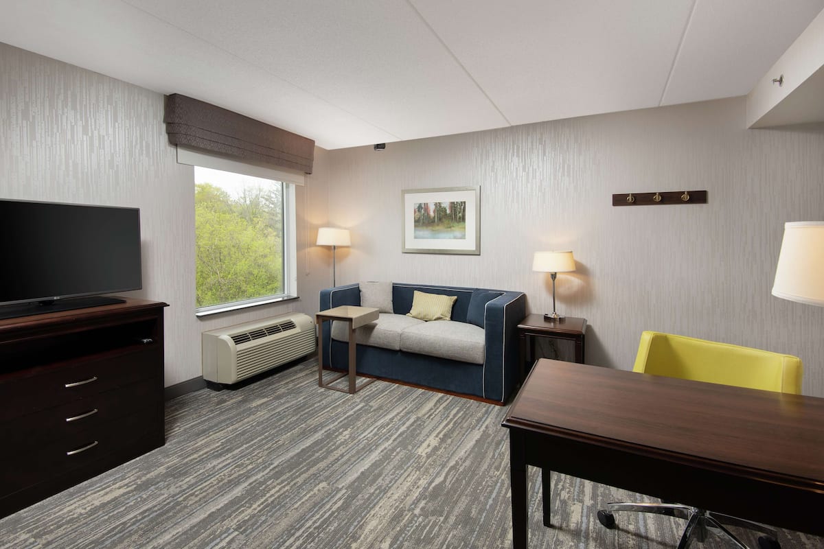 Suite, 1 kingsize bed met slaapbank, niet-roken | Minibar