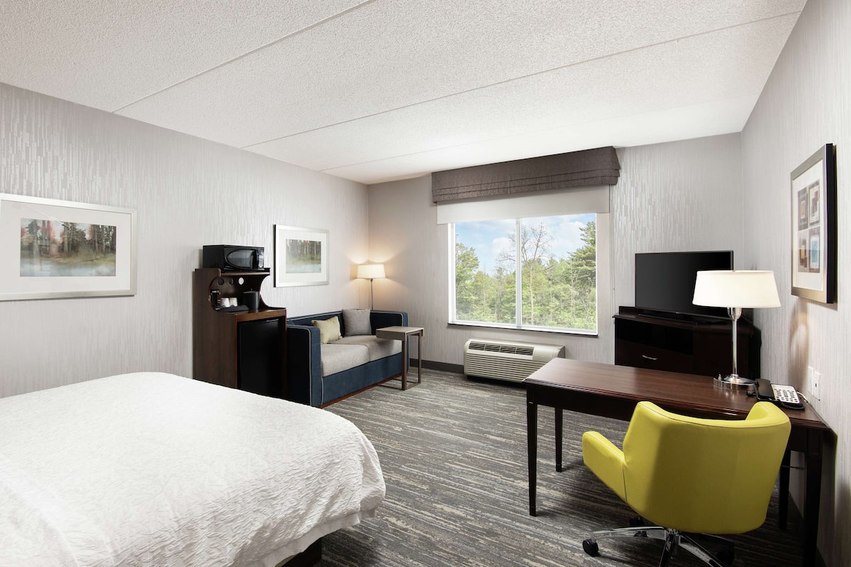 A hotel room with a bed, a desk with a chair, a TV, a lamp, and a window with a view of trees.