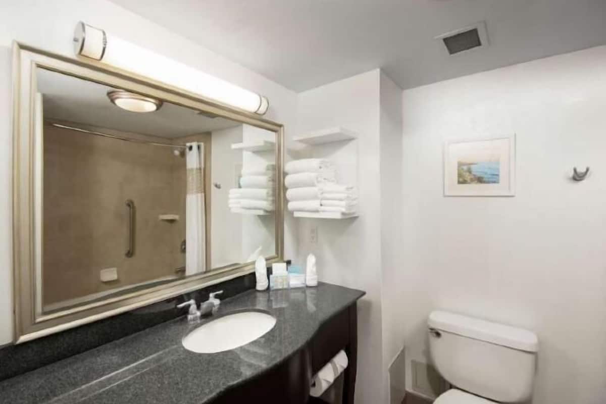 Shower, free toiletries, hair dryer, towels