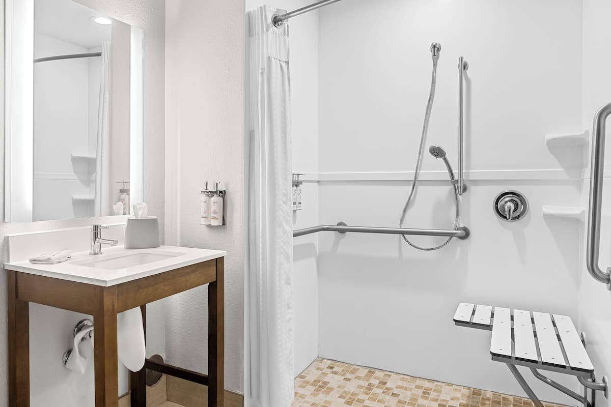 Combined shower/bathtub, free toiletries, hair dryer, towels