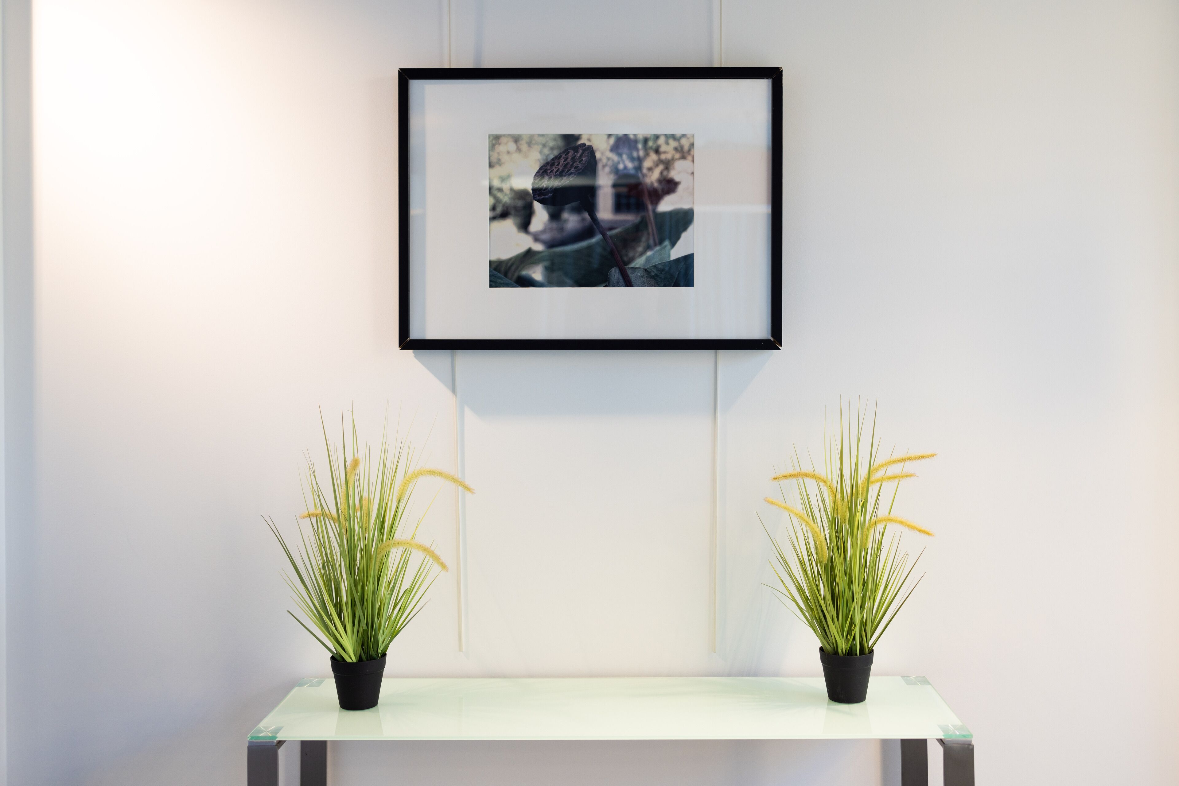 Una fotografía enmarco en una pared, dos plantas en macetas sobre un estante.