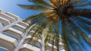 Una palmera con un cielo azul despejado y un edificio de varios pisos con balcones.