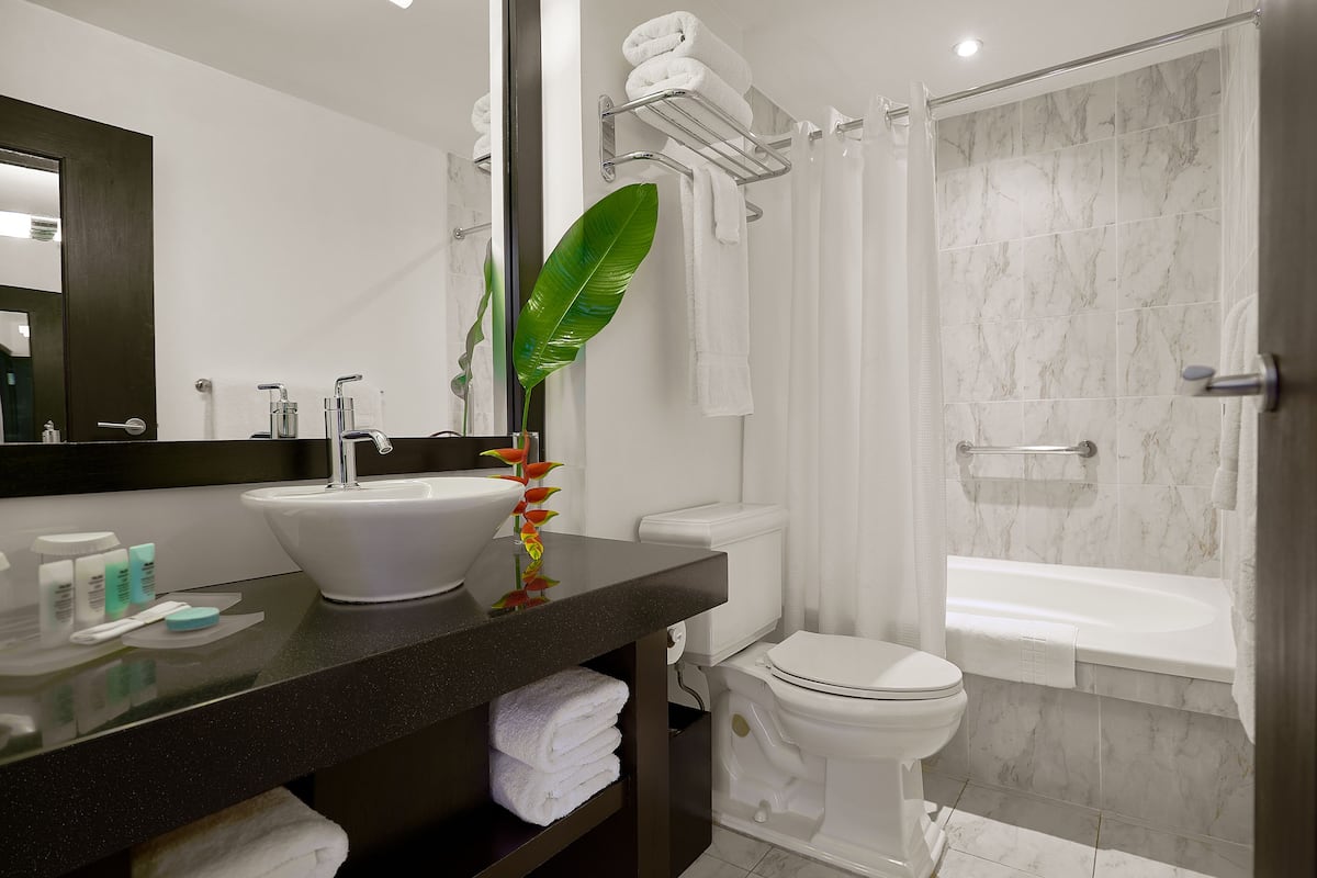 combined shower/bathtub, free toiletries, hair dryer, towels