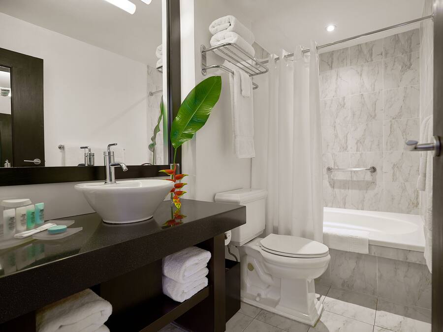 A modern bathroom with a sink, toilet, and shower.