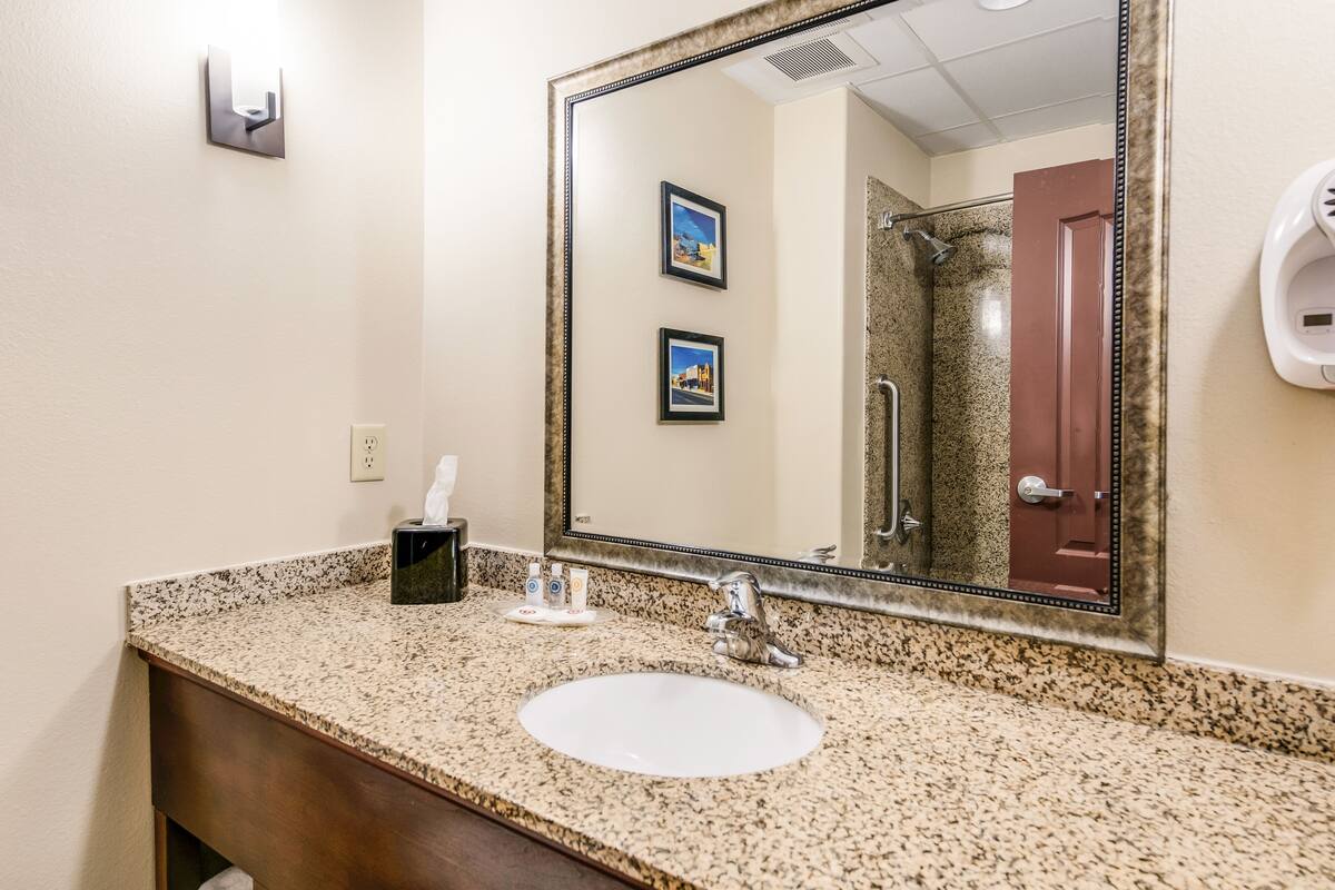 combined shower/bathtub, free toiletries, hair dryer, towels