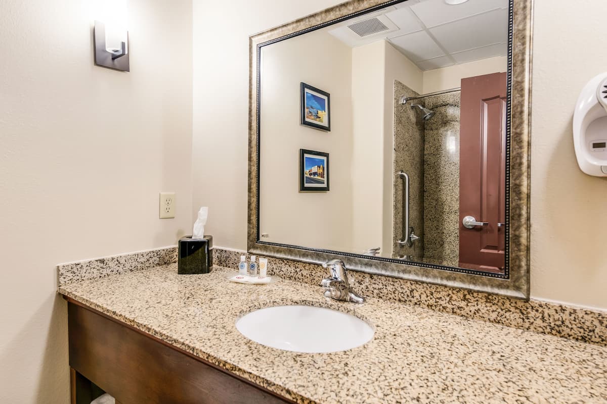 Combined shower/bathtub, free toiletries, hair dryer, towels