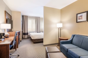 Flat-screen TV - Comfort Suites Fort Stockton (Fort Stockton)