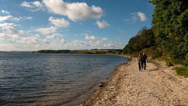 A gravel path beside a lake with a clear sky.