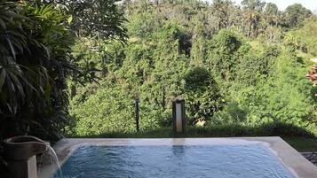 Villa One Bedroom with Private Pool | Valley view