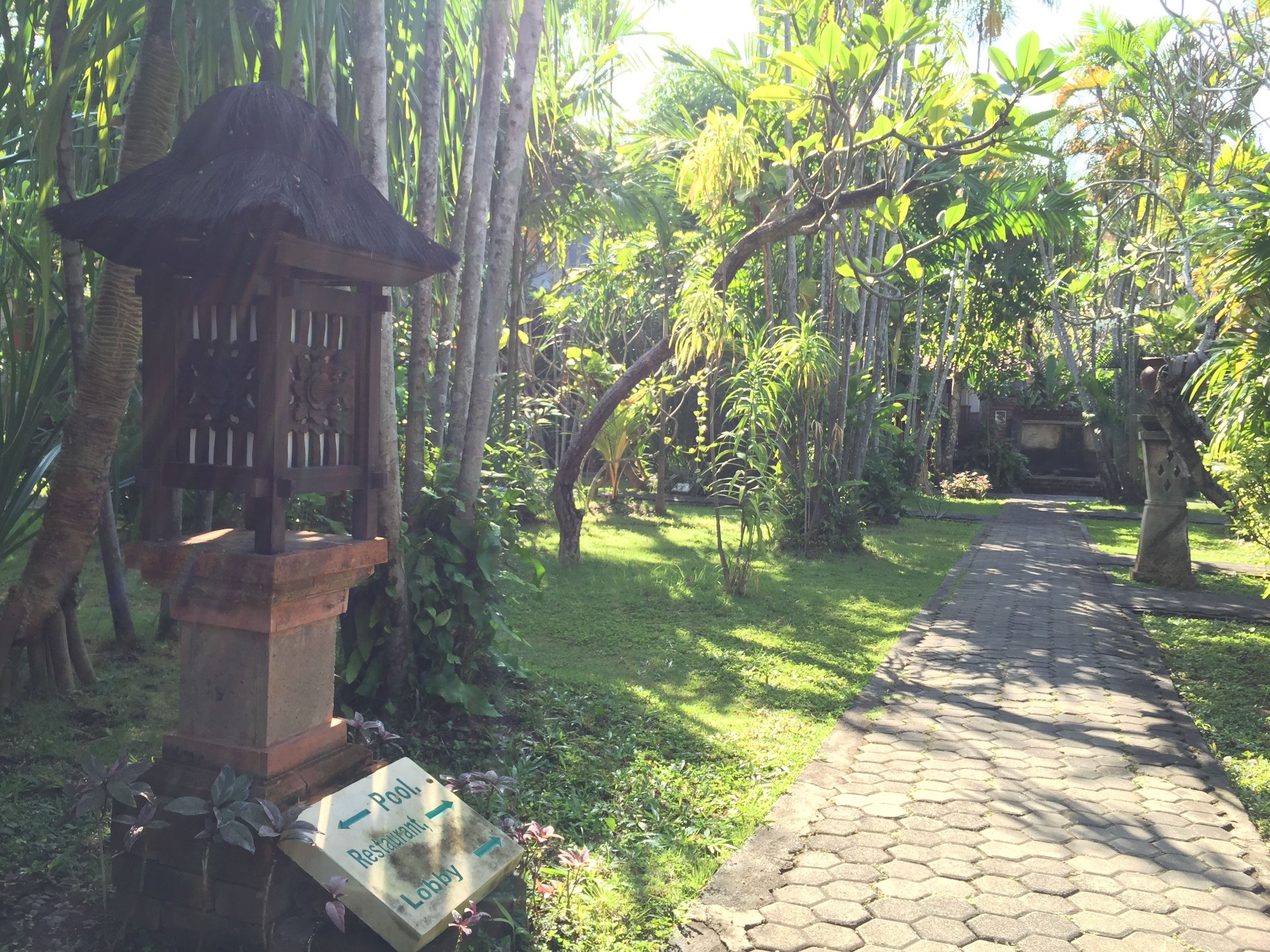 A pathway leading to a pool, restaurant, and lobby area in a lush garden setting.