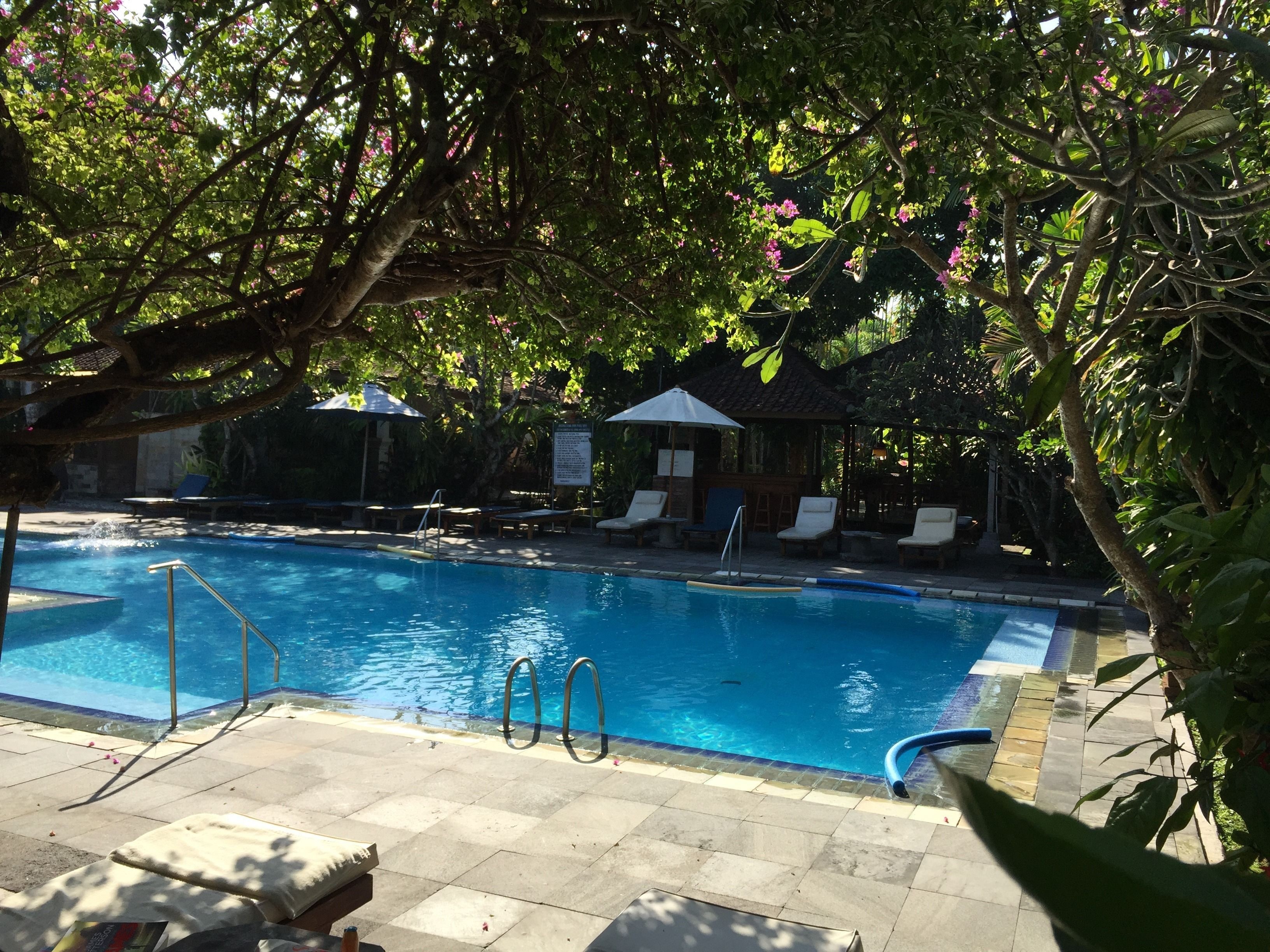 A swimming pool with lounge chairs and umbrellas, surrounded by lush greenery.