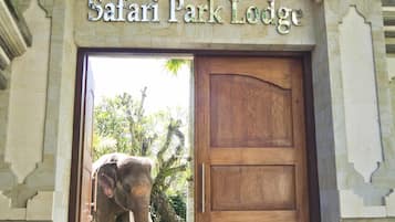 Pintu masuk interior