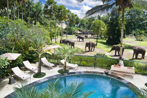 A pool area with lounge chairs, a massage table, and elephants in the background. - Mason Elephant Lodge (Taro)