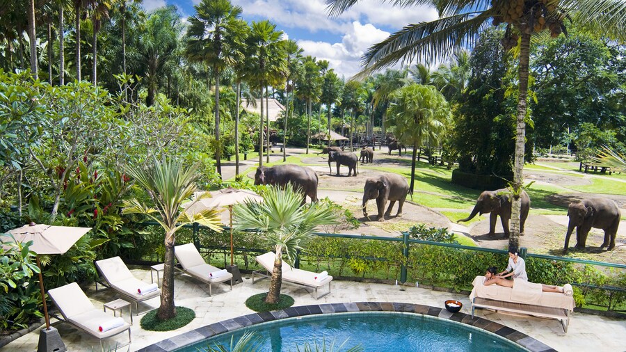 Mason Elephant Lodge