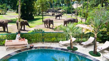 Una piscina al aire libre