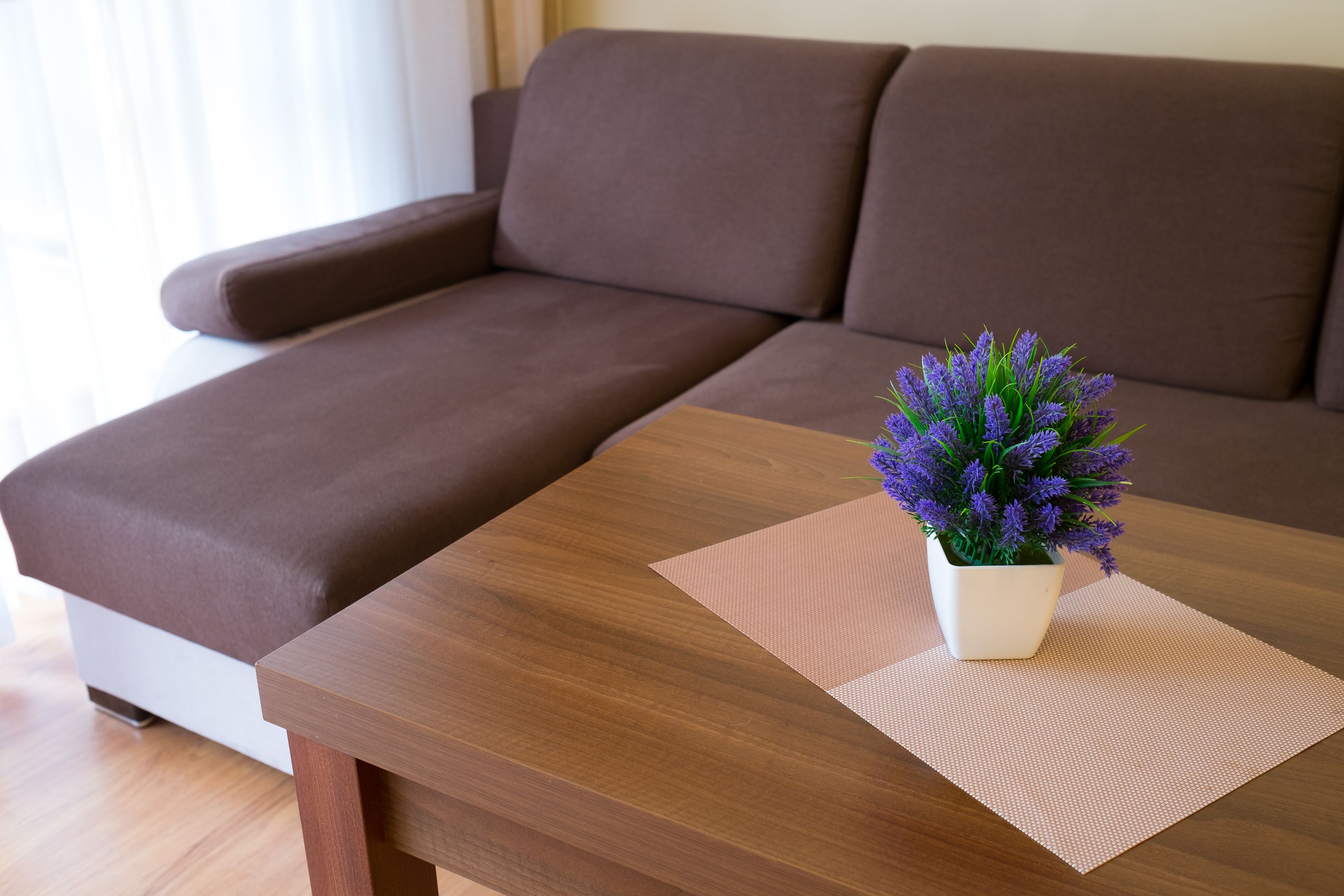 A brown sofa with a white cushion, a wooden table with a woven placemat, and a potted plant with purple flowers.