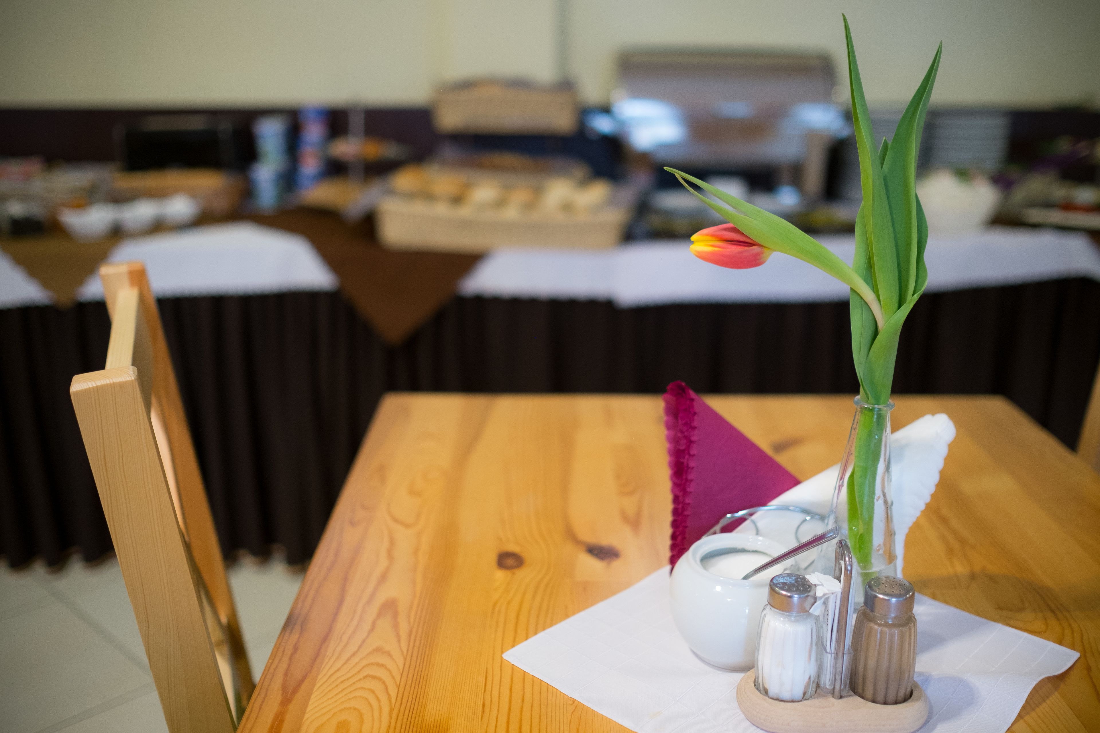 A wooden table with a white napkin, a glass vase with a green plant, and salt and pepper shakers.