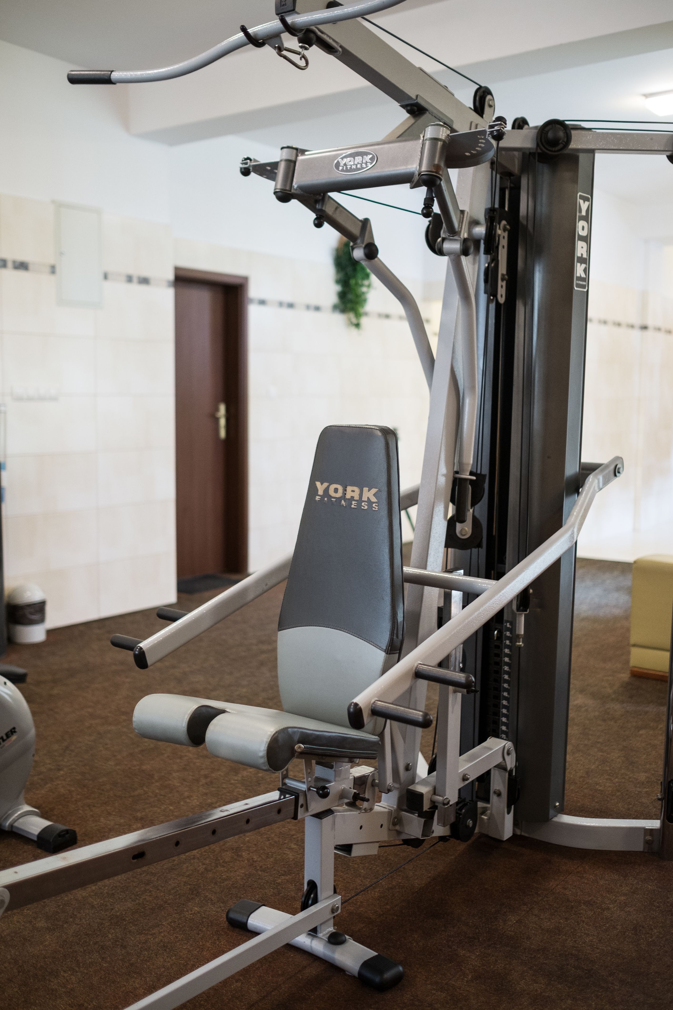 A York Fitness exercise machine in a room with a brown carpet, a door, and a plant in the background.