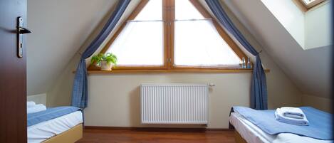 Un dormitorio con dos camas, un tragaluz, un radiador y una ventana con cortinas.