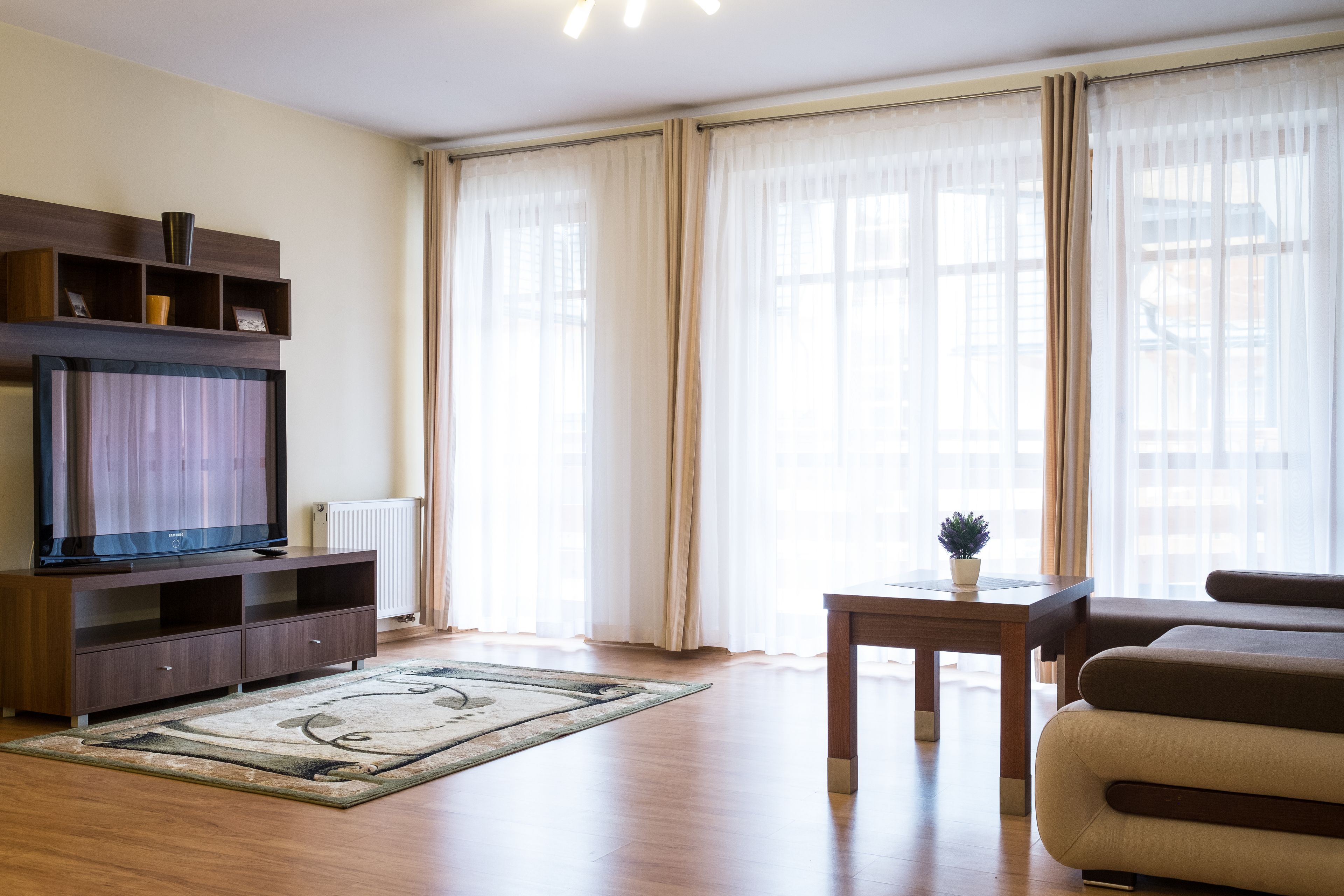 A living room with a flat-screen TV on a wooden stand, a small table with a plant, a beige sofa, and a large window with sheer curtains.