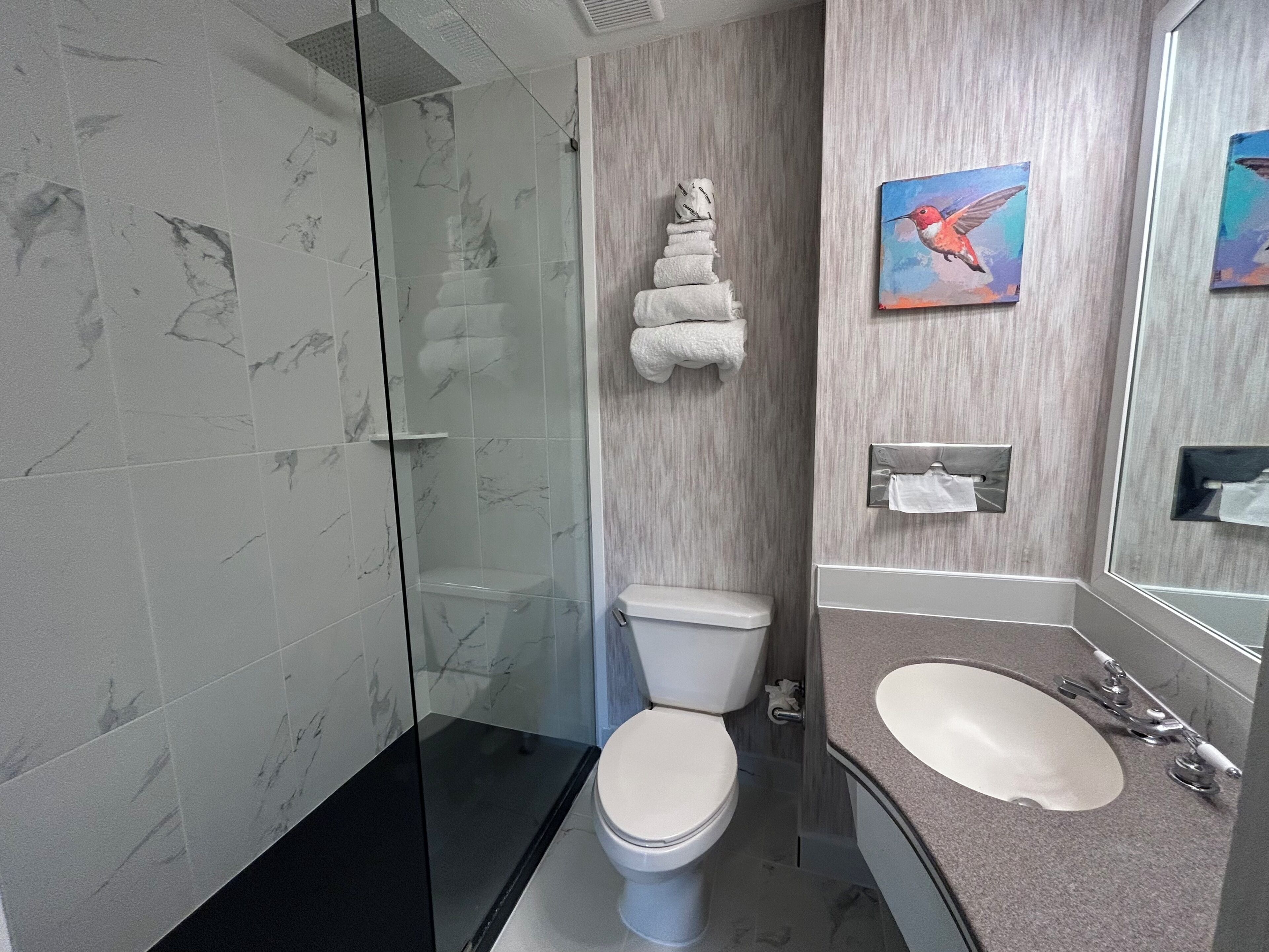 A modern bathroom with a glass shower enclosure, a toilet, and a sink with a mirror.