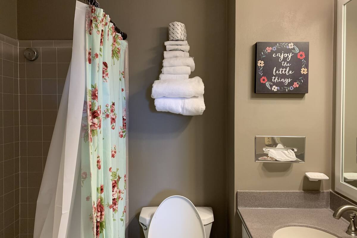 Baño | Amenidades de baño gratuitas, secadora de cabello, toallas