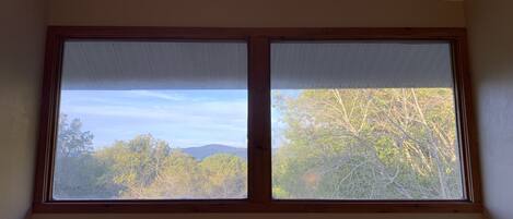 A room with two windows, each with a wooden frame and white blinds, overlooking a forested area with trees and a mountain in the distance.