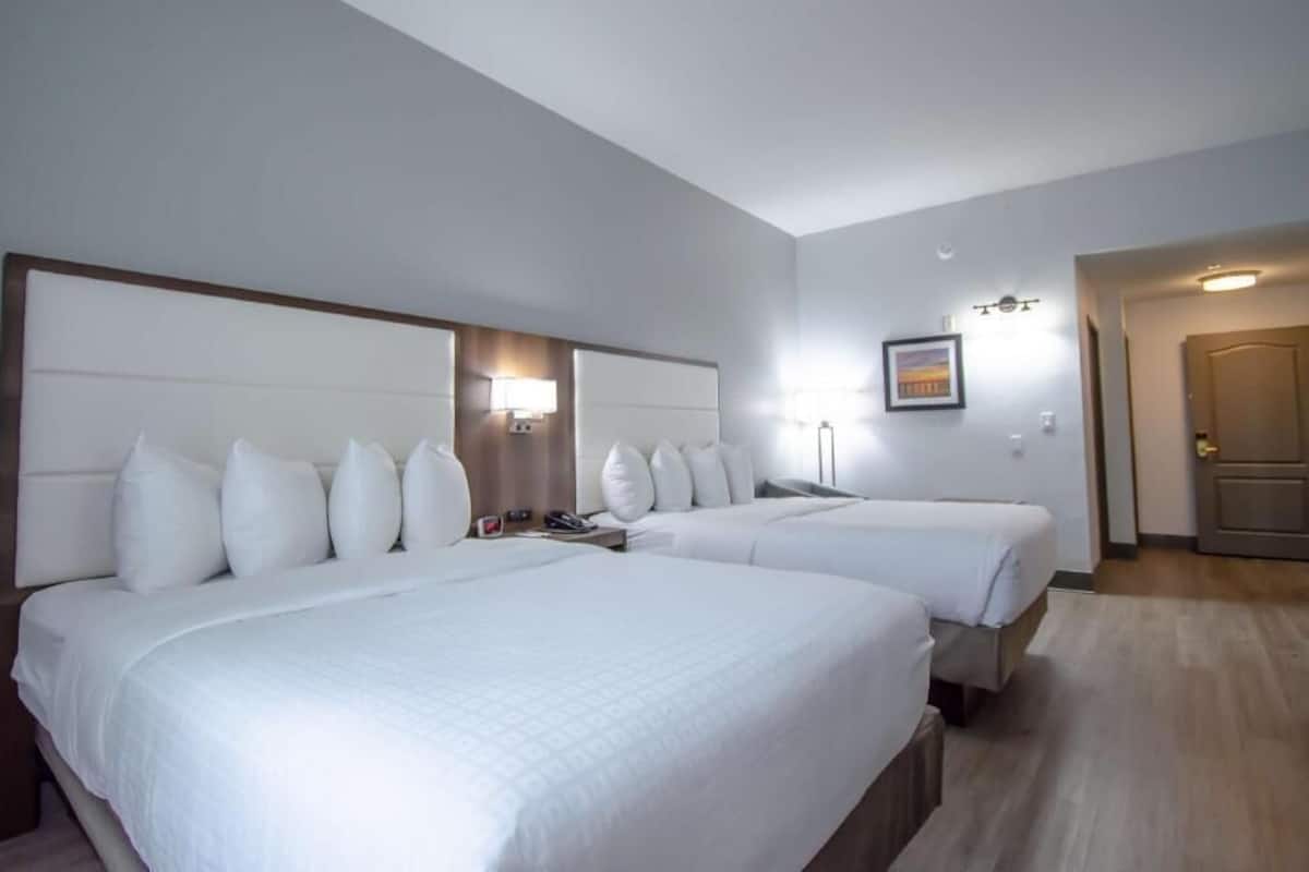 Literie de qualité, couette en duvet, bureau